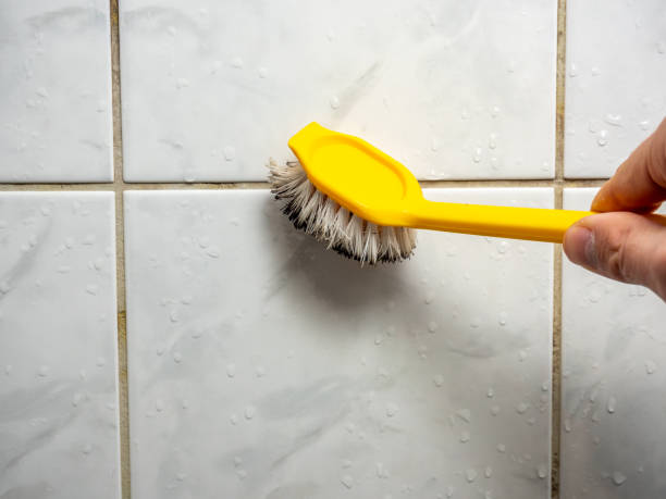 Best Mold Cleaning Services  in Fairfax, OK