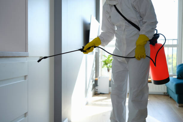 Fairfax, OK Mold Removal Company