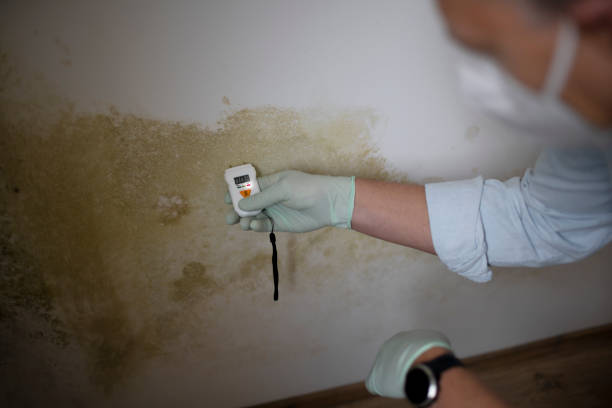 Best Affordable Mold Removal  in Fairfax, OK