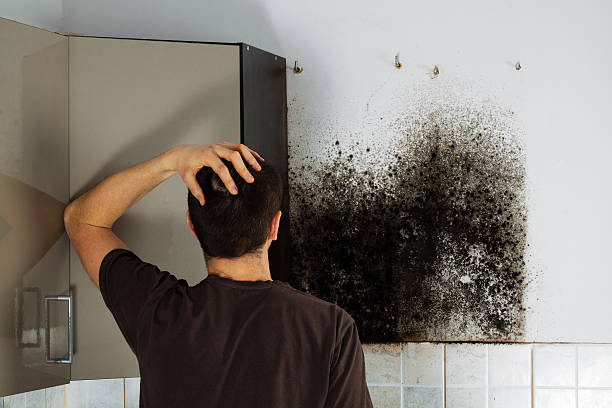 Best Mold Testing  in Fairfax, OK